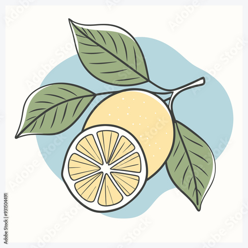 Citron Fruit Vector Illustration Detailed and Vibrant Citrus Art.