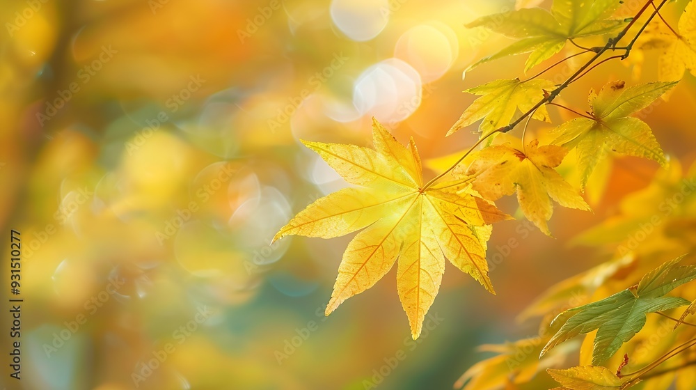Colorful leaves in autumn park Japan : Generative AI Colorful leaves in autumn park Japan : Generative AI