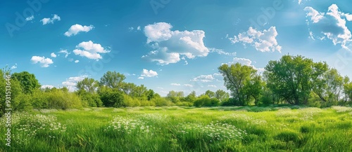 The landscape of a lush green field with trees and blue skies can be seen in this stock image.