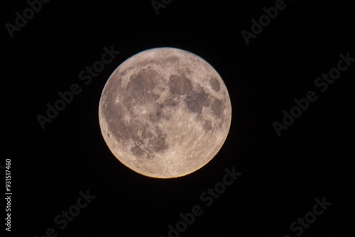 Night Scenery with Supermoon in the City