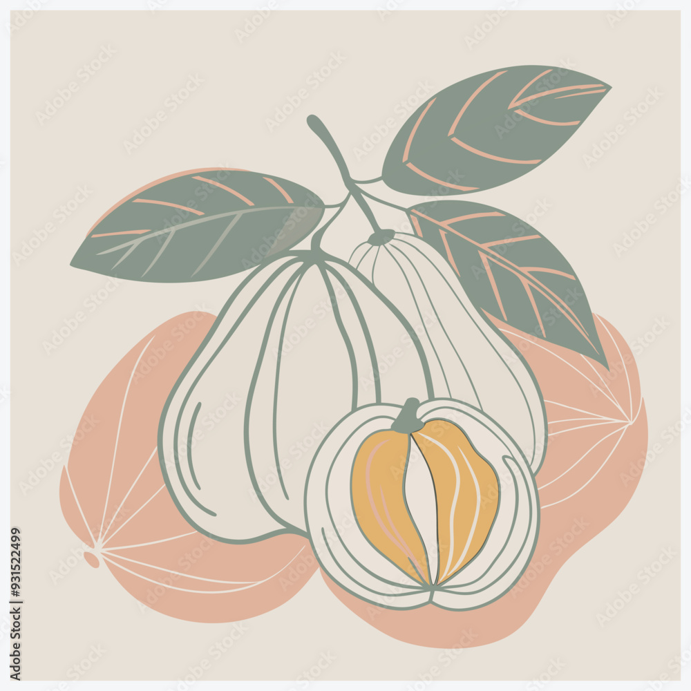 Vibrant Ackee Fruit Vector Illustration Vibrant Ackee Fruit Vector Illustration