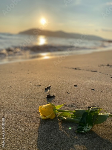 Wallpaper Mural Rose sunset Torontodigital.ca