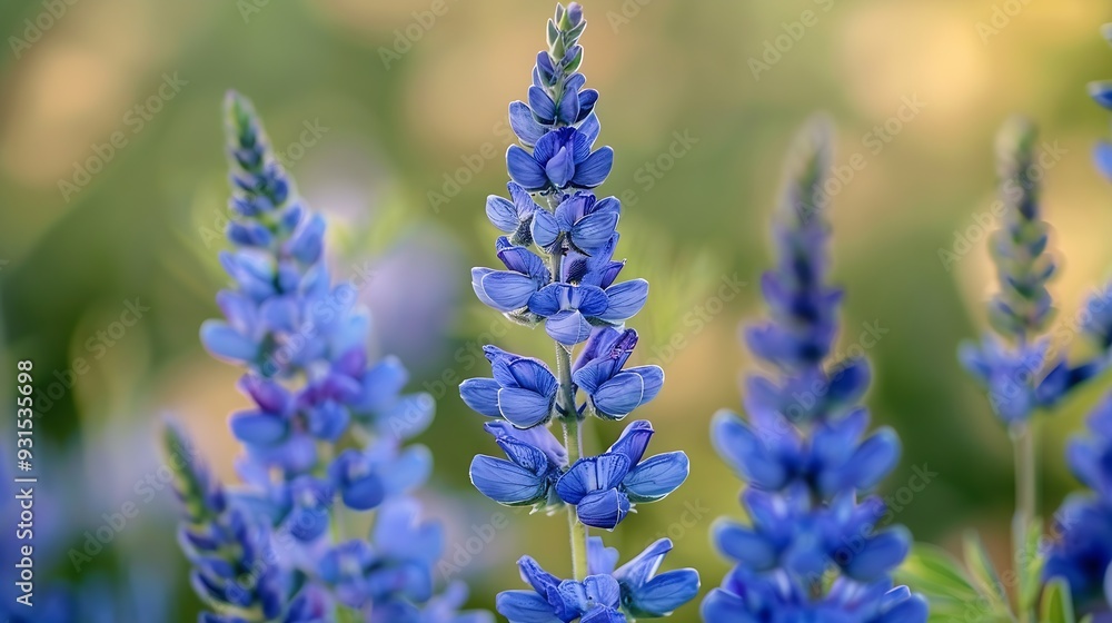 Fototapeta premium Denver Botanical Garden Denver Colorado : Generative AI