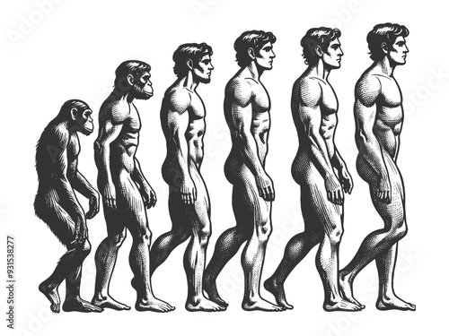 evolution of man from ape through various stages to modern human sketch engraving generative ai fictional character vector illustration. Scratch board imitation. Black and white image.