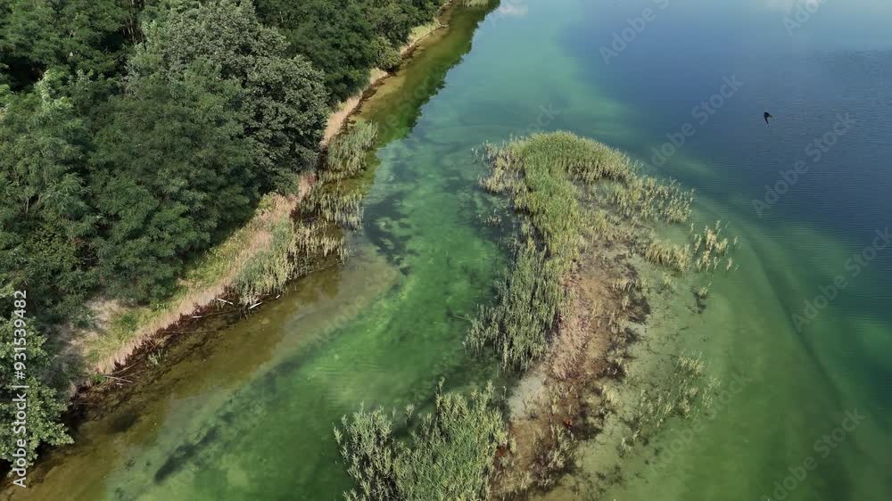 Aerial shot capturing the vibrant green waters of a lake with patches of reeds creating a natural pattern, reflecting the beauty of untouched nature from above. Drone shoots. Aerial shot capturing the vibrant green waters of a lake with patches of reeds creating a natural pattern, reflecting the beauty of untouched nature from above. Drone shoots.