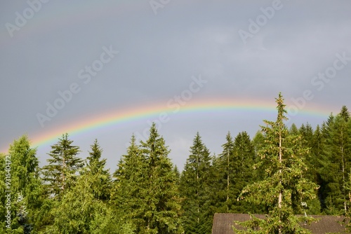 Wallpaper Mural rainbow in the cloudy sky Torontodigital.ca