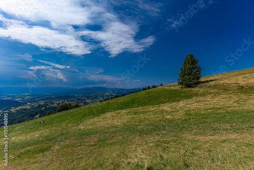 Koniaków landscape, Ochodzita Mountain, Silesian Beskids