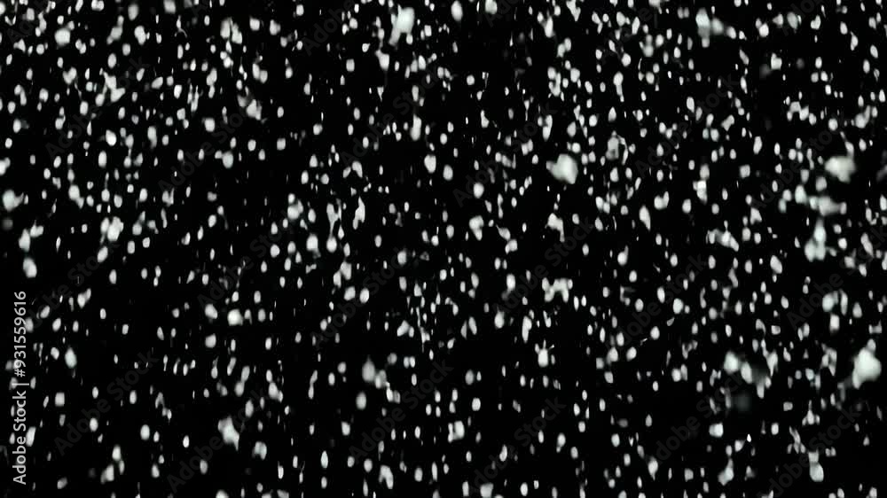 Snowflakes Dancing in the Darkness Snowflakes Dancing in the Darkness