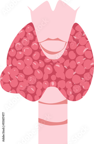 Thyroid disease Illustration 