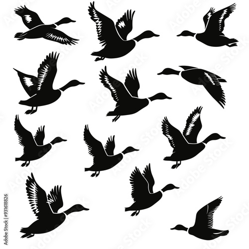 Silhouettes of ducks in various flight positions against a white background.