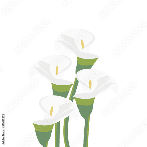 Alcatraz flor, ilustración o clipart aislado sobre fondo blanco