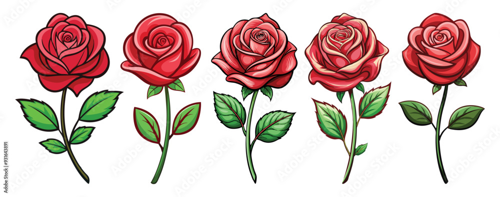 red rose isolated on white red rose isolated on white