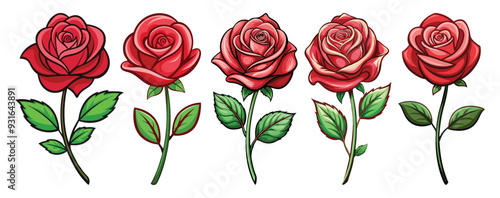 red rose isolated on white
