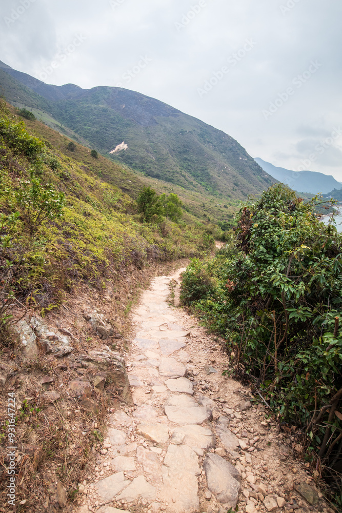 Obraz premium Winding Path Through Verdant Hillsides