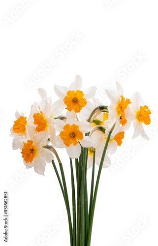 Wallpaper Mural bouquet of daffodils isolated Torontodigital.ca
