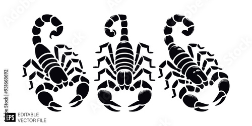 set of scorpion vector illustration black and white silhouette graphic design template