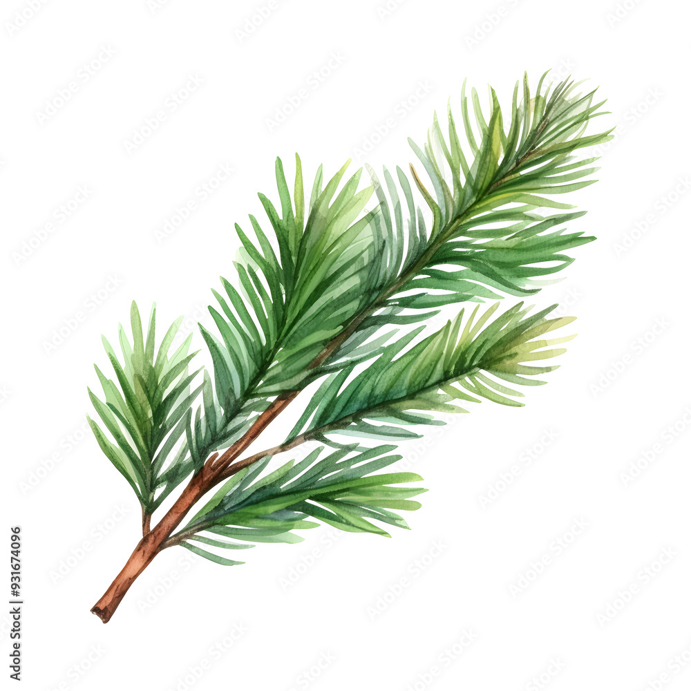 Detailed Watercolor Painting of Lush Green Pine Branch with Festive Needles Detailed Watercolor Painting of Lush Green Pine Branch with Festive Needles