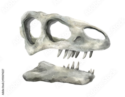 Fossilised skull of a predatory dinosaur isolated on white. Tyrannosaurus Rex. Paleontology, evolution. Vector illustration, watercolour style