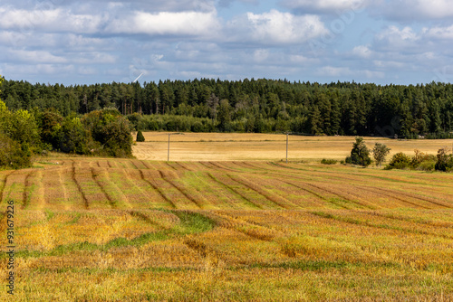 Norrtalje, Sweden An agricultural field and woods. photo