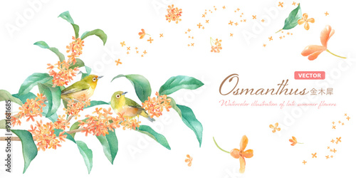 晩夏の花。左から伸びる金木犀（キンモクセイ）と野鳥（メジロ）の枝の水彩イラスト。バナー背景。（ベクター。レイアウト変更可能）
