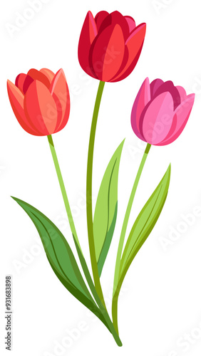 Wallpaper Mural tulips isolated on white Torontodigital.ca