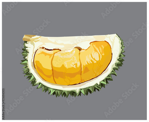 Yellow durian flesh in gray background isolated vector illustration