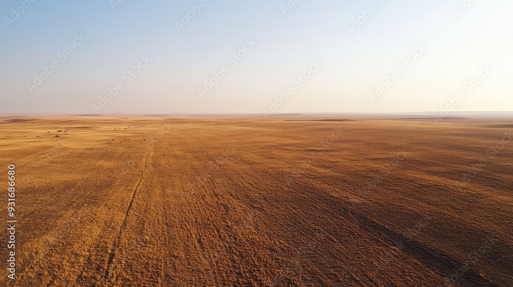 Naklejka premium Bird's-eye view of a desolate, arid landscape, with the dry soil stretching out in every direction under a clear sky.