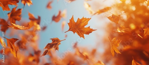 fall leaves. with copy spac...