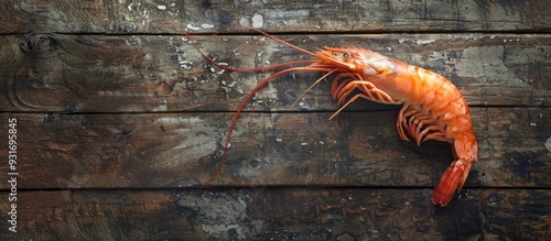 Fresh raw shrimp on a weath...