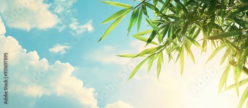Bamboo leaves set against a...