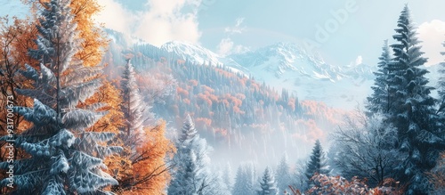 Autumn Transitions to Winte...