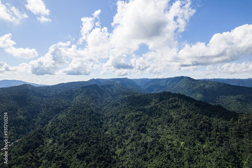 Beautiful aerial view of lush green forest and mountains under cloudy sky.