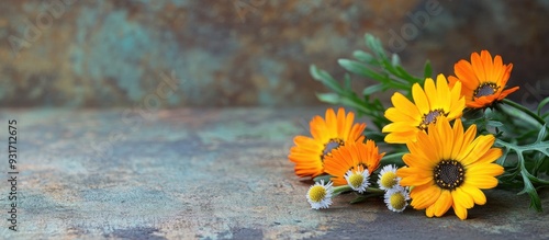 Close up of calendula chamo...