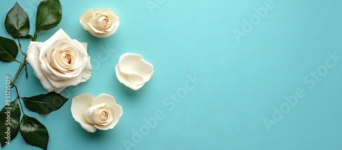 creams and roses on a blue ...