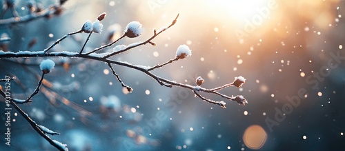 First snow of the season on...