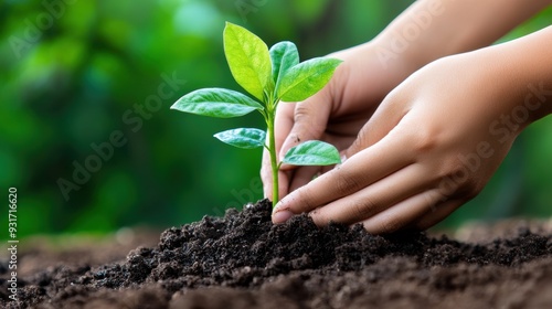 A person planting a seed in the ground with their hands, AI