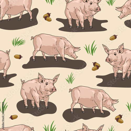 Grazing pigs pattern seamless colorful