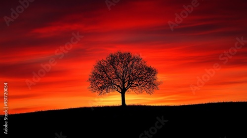 Lone tree on hill during vibrant sunset