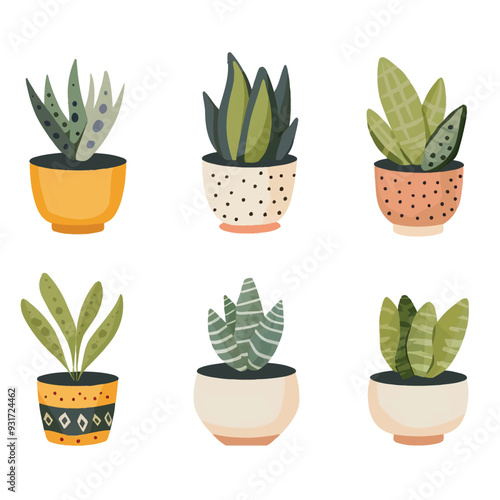 Vector Snake Plant simple and mini
