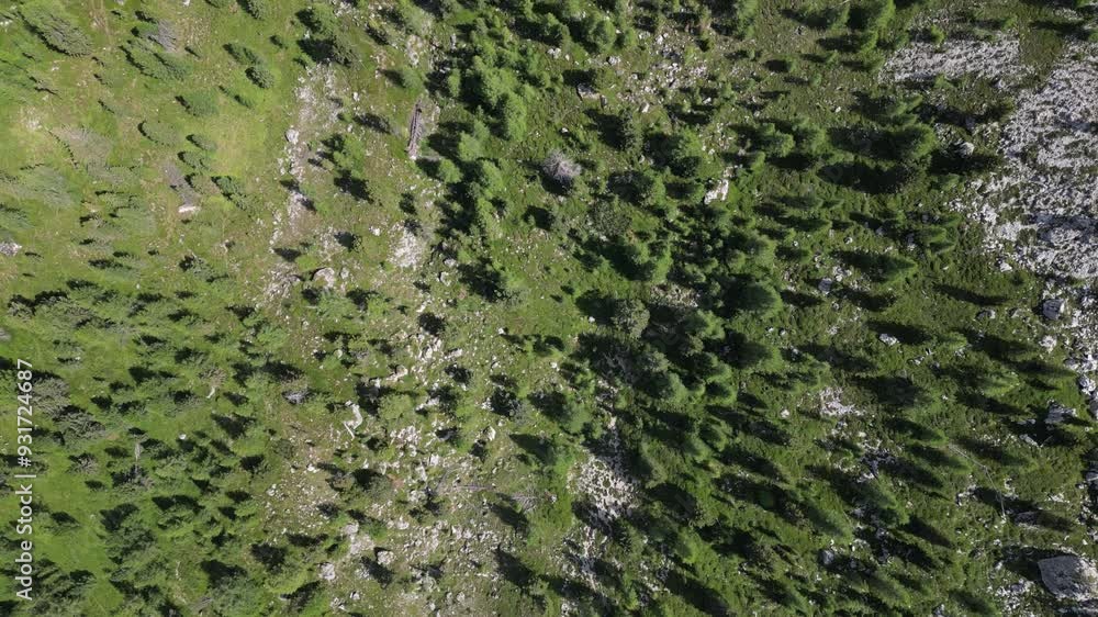 woods and pine trees in Armentarola Aerial view of the Dolomites mountain landscape in Trentino, South Tyrol in Northern Italy. woods and pine trees in Armentarola Aerial view of the Dolomites mountain landscape in Trentino, South Tyrol in Northern Italy.