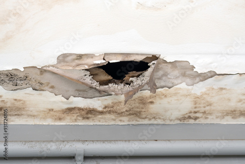 Office building or house problem for house service. Ceiling panels with fungus outside house from water pipes damaged or rainy leaked.