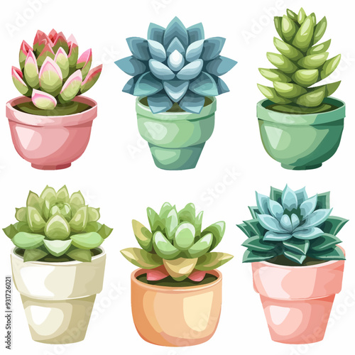 Vector Sempervivum simple and mini