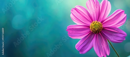 Beautiful pink blooming cos...