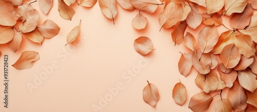 Autumn leaves in a dried st...