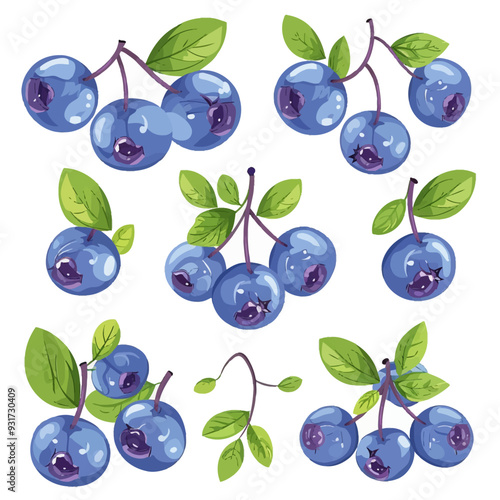 Vector Blueberry simple and minima