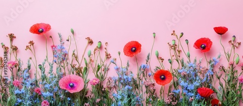 Composition of wildflowers ...
