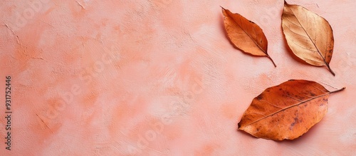 Autumn leaves in a dried st...