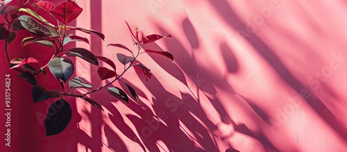 A collection of vivid shado...