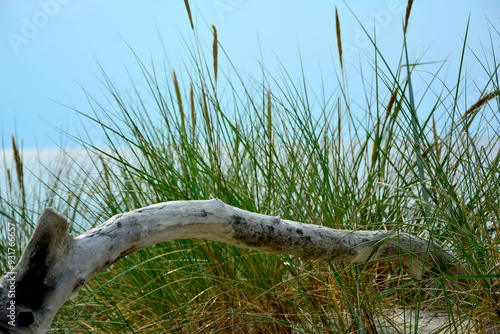 Obraz na płótnie kłoda drewna na plaży na tle morza, drewniana kloda na piaszczystej wydmie nadmorskiej, malowniczy pejzaż nadmorski, logs on the sand on the sea shore, beach scene, wooden logs on a sandy w salonie