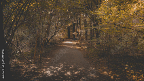 A image of the nature in a forest of Bruces in Helsingborg, Sweden. photo